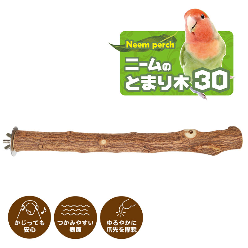 止まり木 s08m09 止まり木 s08m09 止まり木 s08m09 止まり木 s08m09