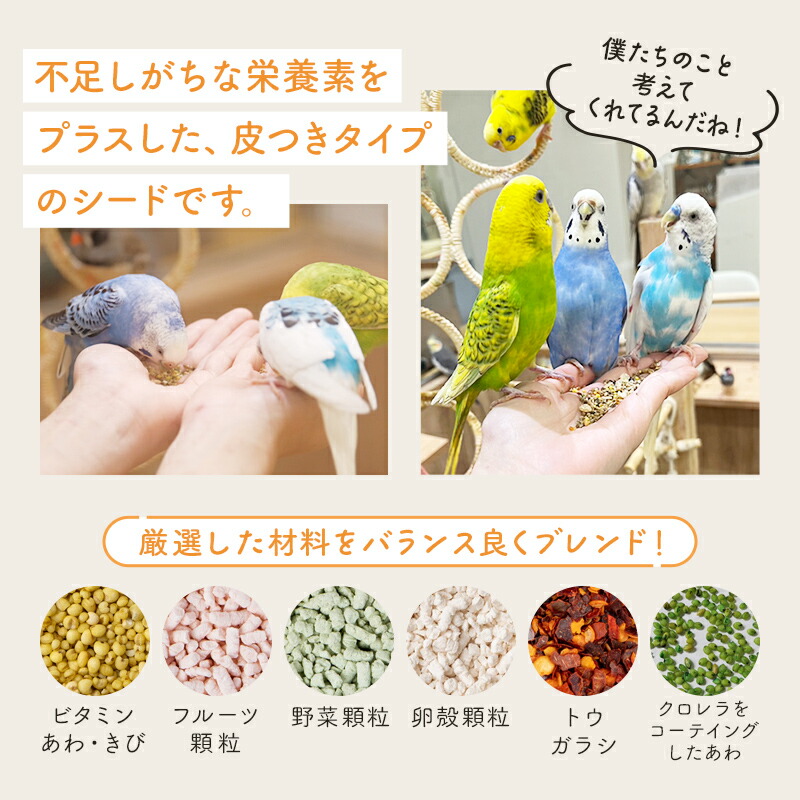 楽天市場】＼数量限定／ことり福袋2026☆うちのことほっこりシリーズ