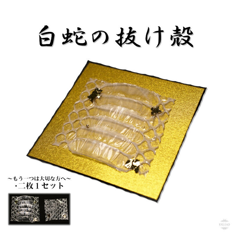 白ヘビの抜け殻まとめ売り 【公式通販】