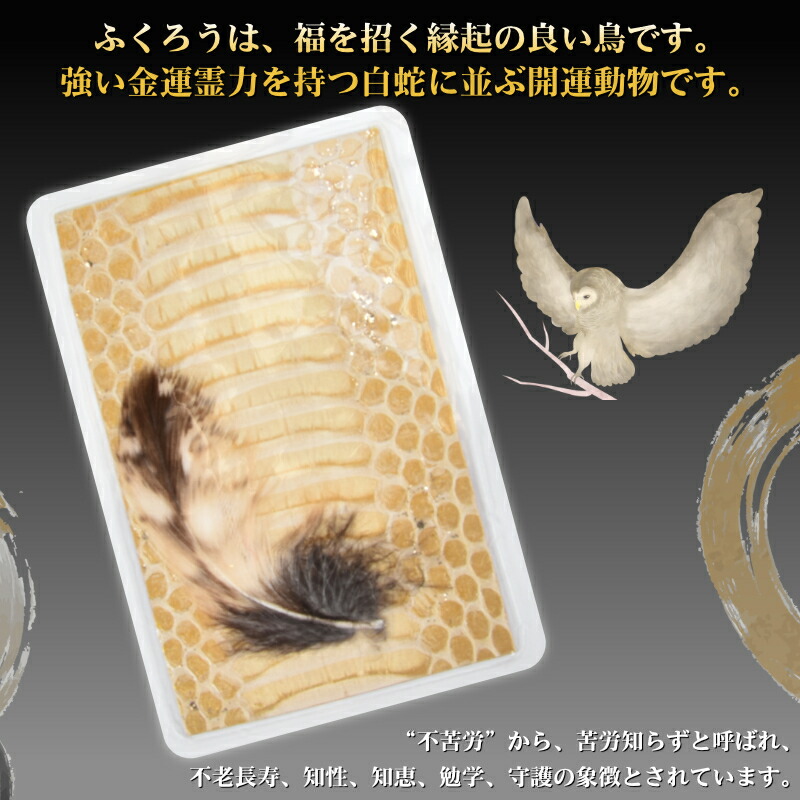 白☆蛇 様 専用フォーム 【公式通販】