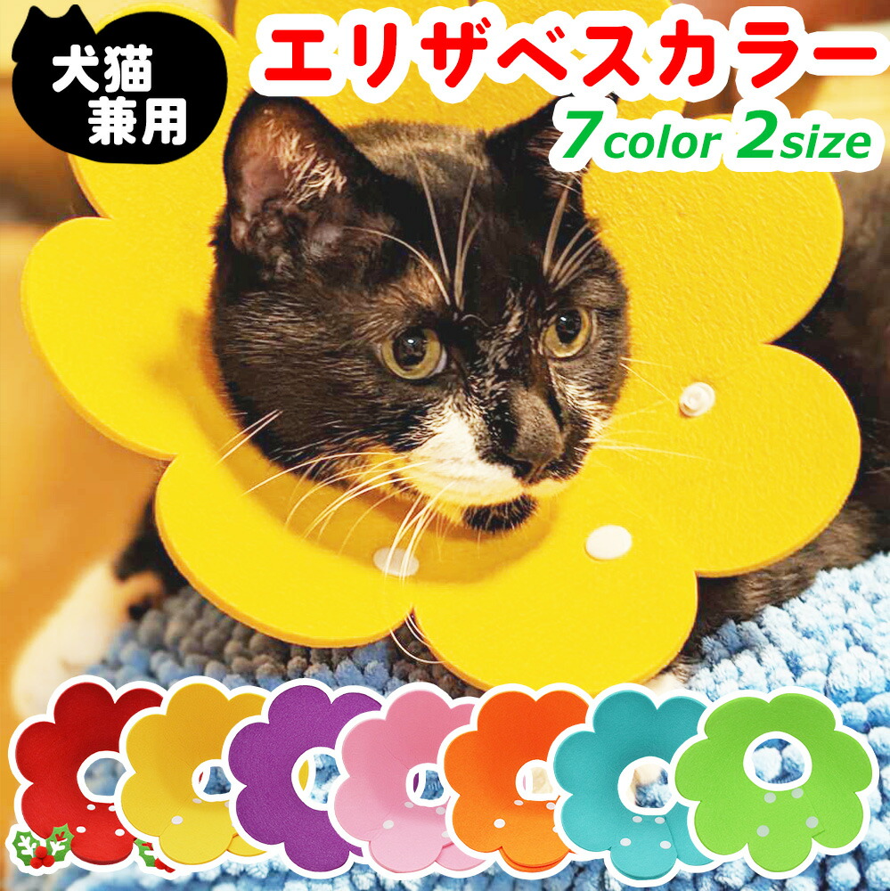 楽天市場】エリザベスカラー ソフトフェルト 軽量 猫 犬 ペット