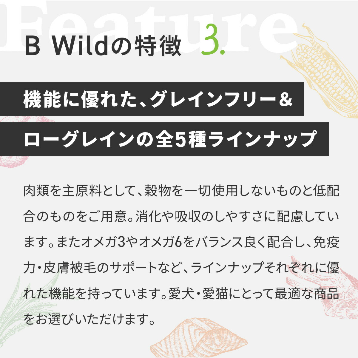 楽天市場】【犬用 イタリア製 ドッグフード】BWild ウェットフード