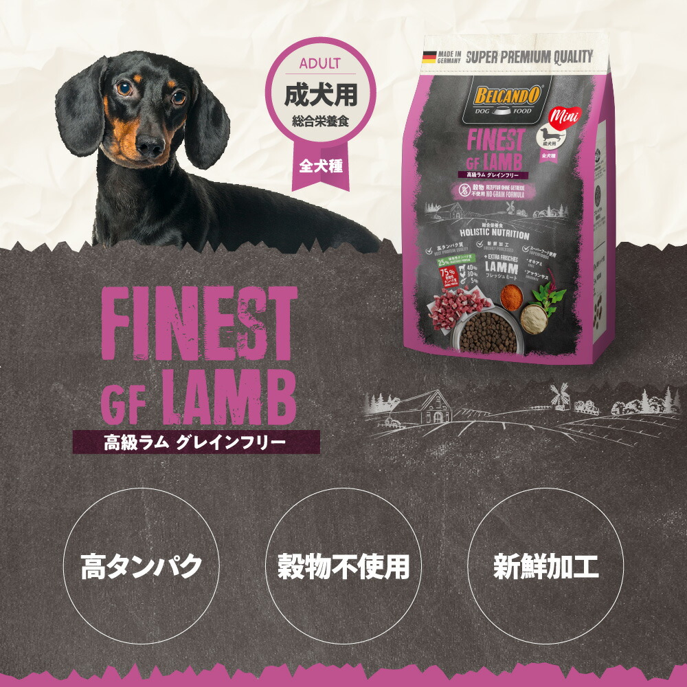 楽天市場】☆BELCANDO ベルカンド アダルト 高級ラム グレインフリー