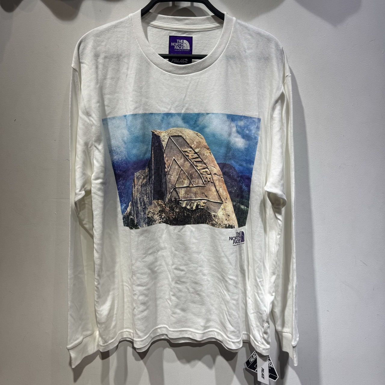楽天市場】THE NORTH FACE PURPLE LABEL × PALACE 21ss L/S Graphic