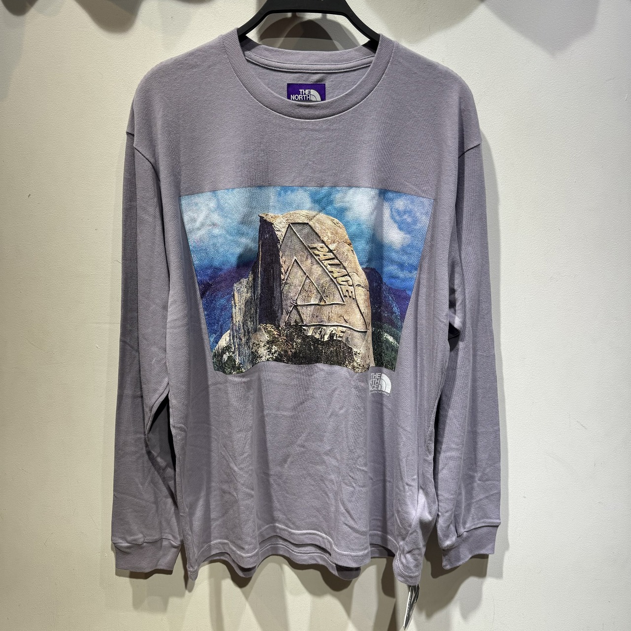楽天市場】THE NORTH FACE PURPLE LABEL × PALACE 21ss L/S Graphic
