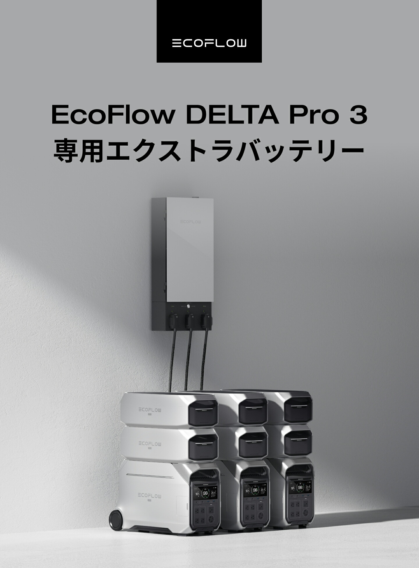 楽天市場】【クーポン利用で237,600円 2/4 20:00〜】EcoFlow DELTA Pro