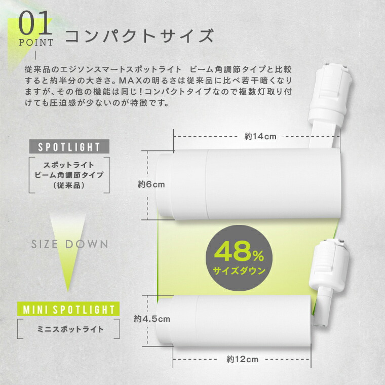 Free! スポットライトカラー 5点セット Amazon.co.jp: Free! スポット