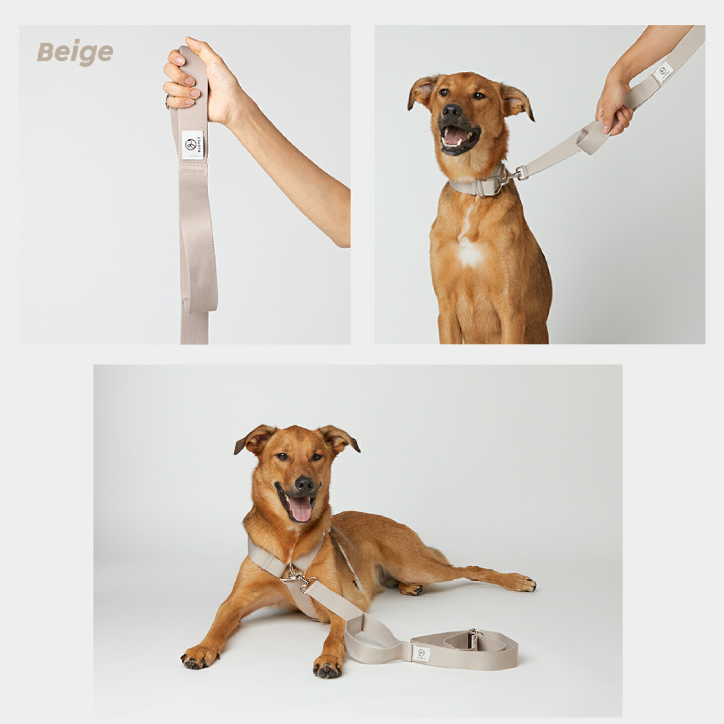 楽天市場】犬 大型犬用 超大型犬 35kgまで対応 マルチ リード 1.7m