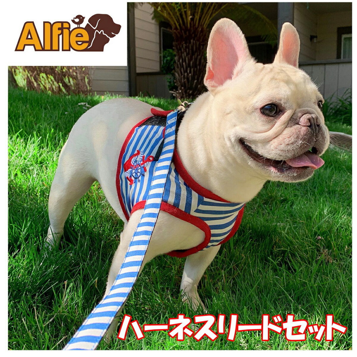 楽天市場】Alfie ≪ハーネスリードセット≫ ボーダー ハーネス＆リード
