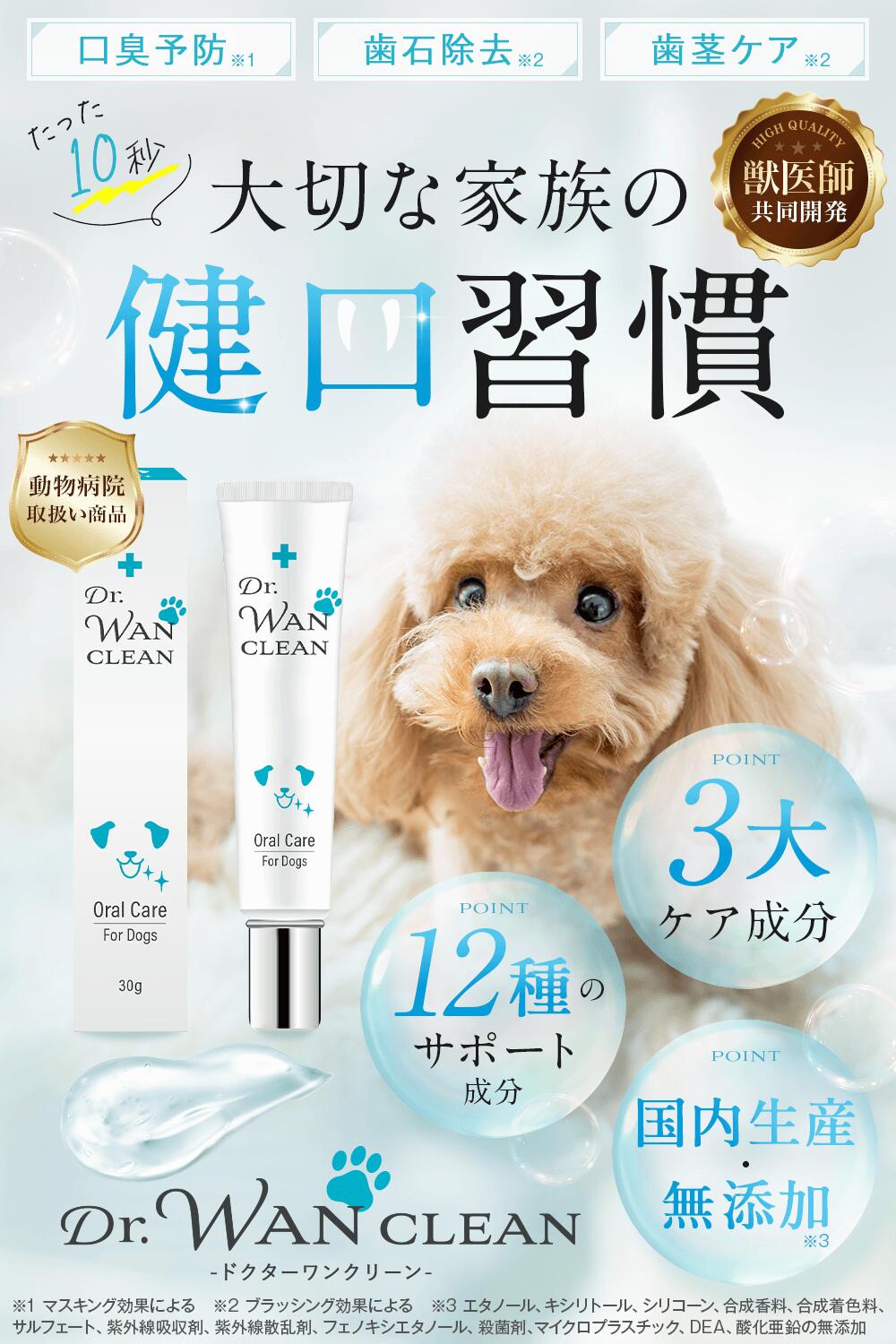 Dr. Dental Wan 歯磨き粉 4本セット + 歯ブラシ 【公式通販】