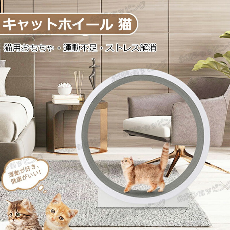 楽天市場】キャットホイール 猫 ランニングホイール キャットウォーク