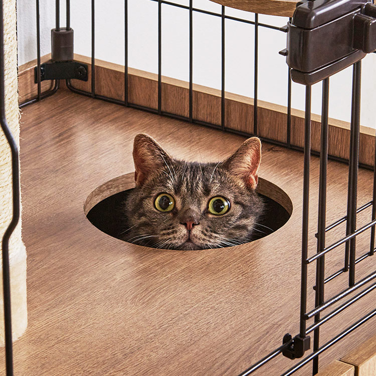 楽天市場】隠れ家キャットランドケージ PKC-800 マットブラウン 猫