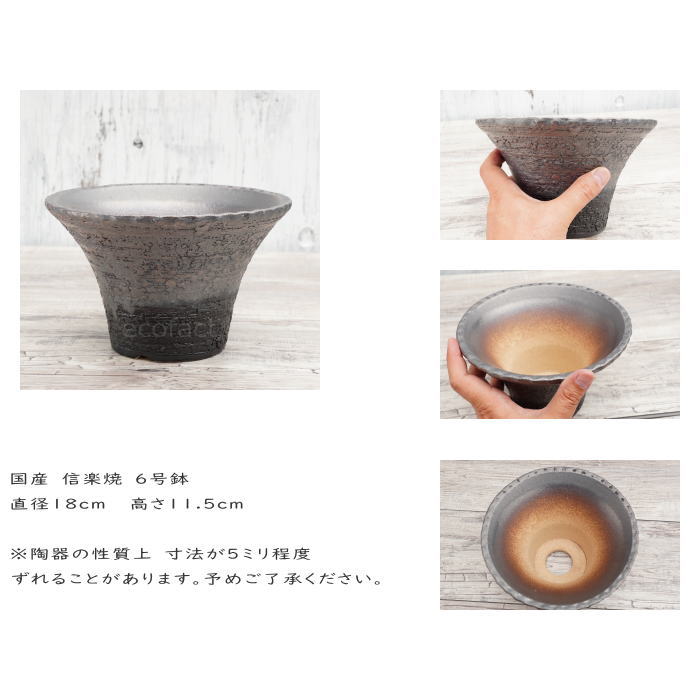 楽天市場】陶器鉢 植木鉢 6号 銀彩ソリ型 シルバー系 おしゃれ