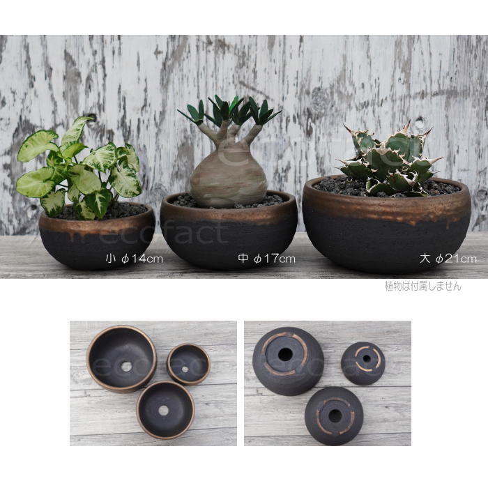 楽天市場】陶器鉢 植木鉢 丸浅（中）φ17cm 底穴あり 金彩 ブラック