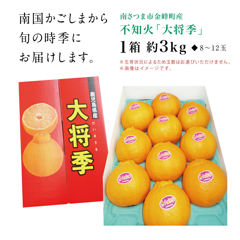 楽天市場】【ふるさと納税】【11月末～12月発送】ブランド不知火 大将