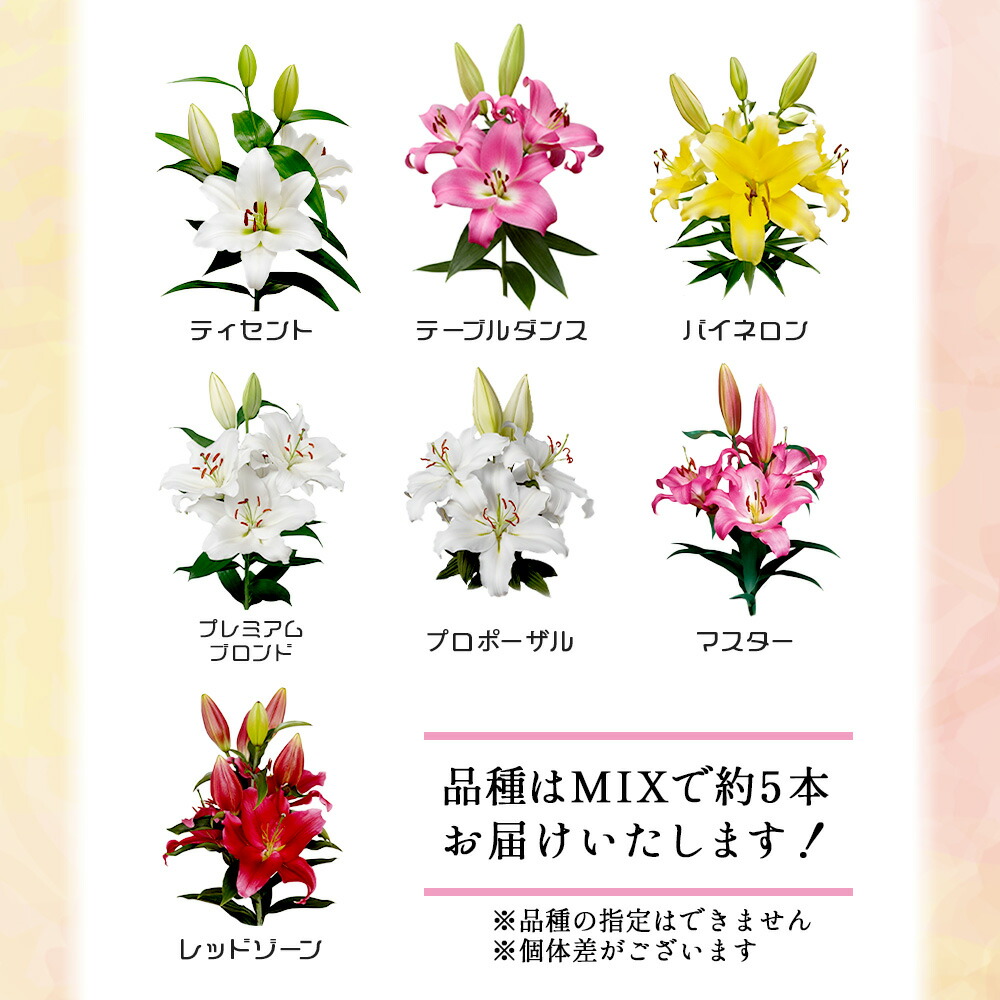 楽天市場】【ふるさと納税】☆5.0高評価 オリエンタルリリィ(約5本