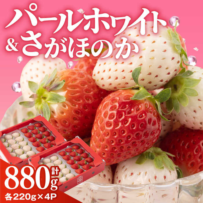 楽天市場】【ふるさと納税】【2026年1月以降発送】 いちご食べ比べ
