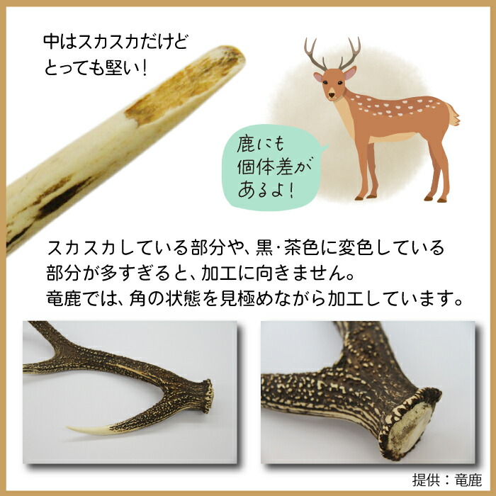 鹿の角 鹿のツノ 鹿角 鹿ツノ 蝦夷鹿 角 ハンドメイド クラフト 材料