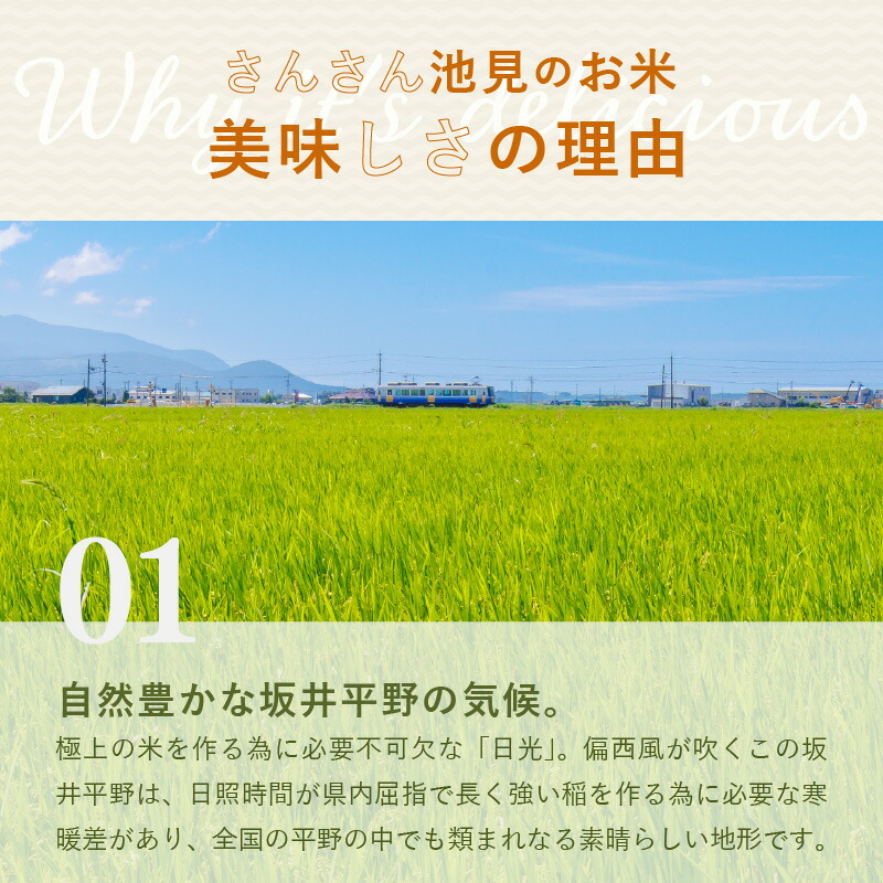 楽天市場】【ふるさと納税】 【数量限定！】 令和7年産 あきさかり 5kg