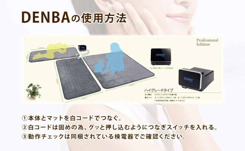 楽天市場】【ふるさと納税】DENBA Health High grade マット 3枚同時に