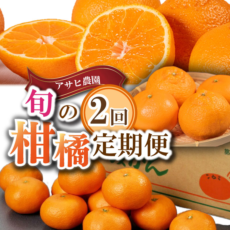 楽天市場】【ふるさと納税】 先行予約 柑橘 定期便 2回 温州みかん せ