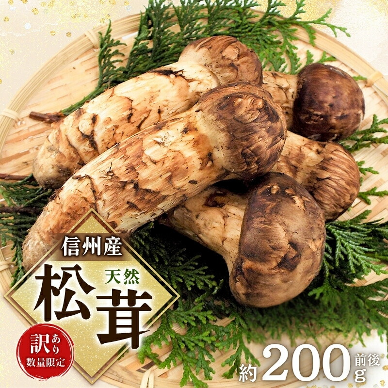 松茸 北海道 550g 訳あり 送料込 国産 ② 松茸 北海道 500g 訳あり ②