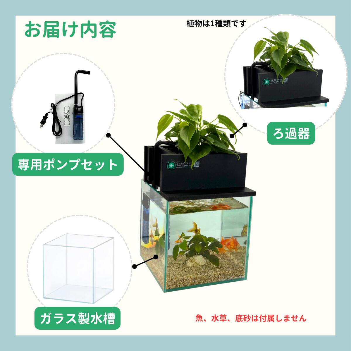 楽天市場】【ふるさと納税】せせらぎビオトープ 20cm型基本セット
