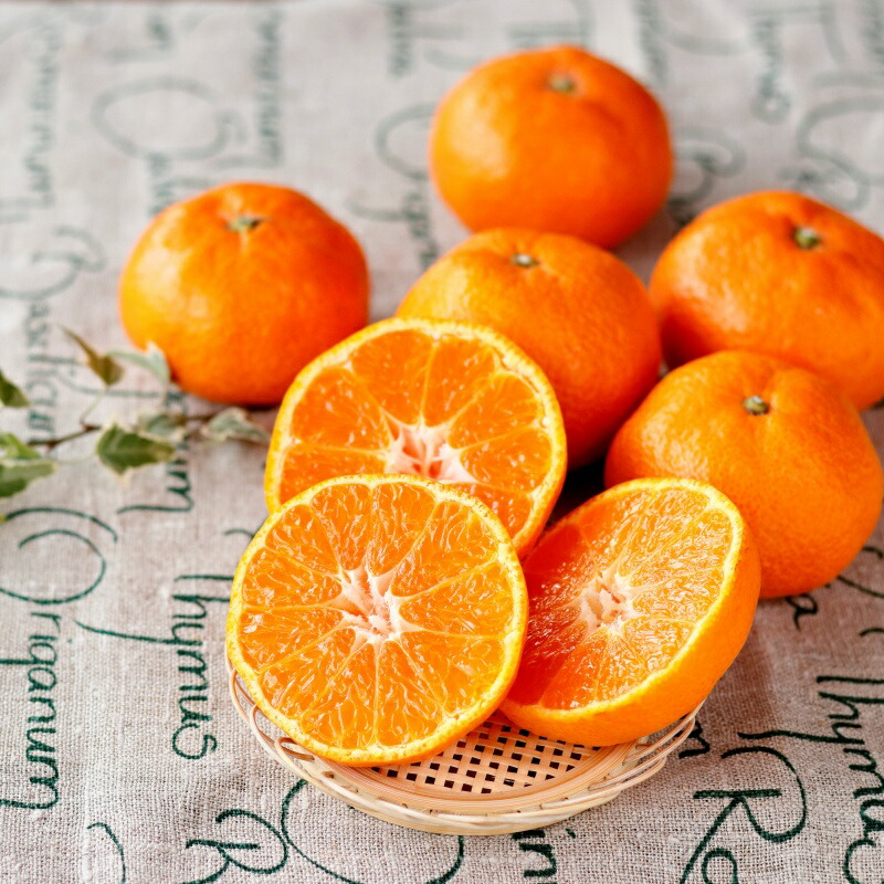 楽天市場】【ふるさと納税】 【S~2Lサイズおまかせ】秀品 季節のみかん