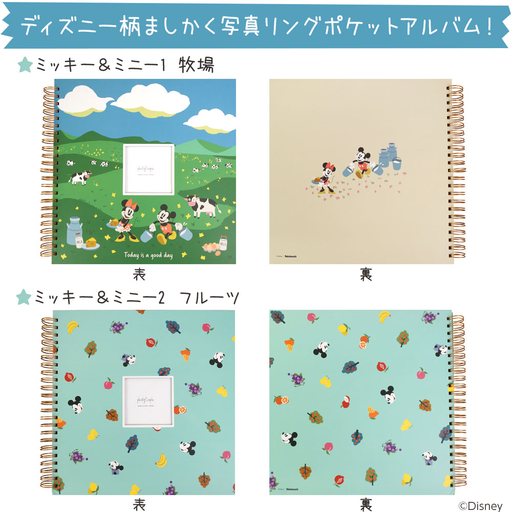 楽天市場】【最大1000円OFFクーポン配布中】【☆期間限定特価】【WEB