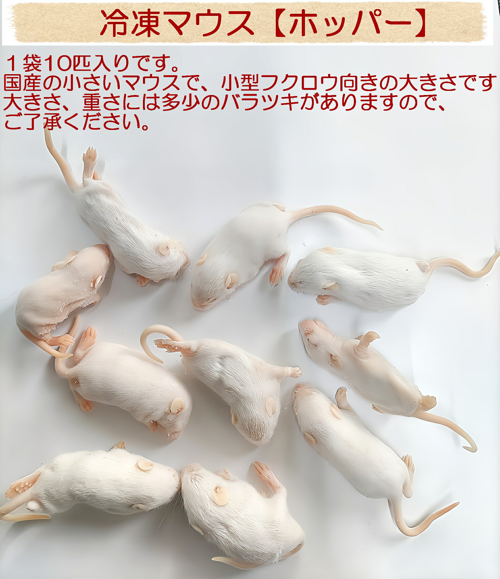 楽天市場】国産冷凍ホッパーマウス フクロウ 鷹 ハヤブサ エサ 猛禽類