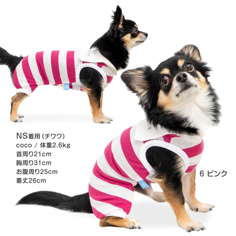 楽天市場】犬 服 接触冷感 太ボーダー セーラー衿 つなぎ ダックス