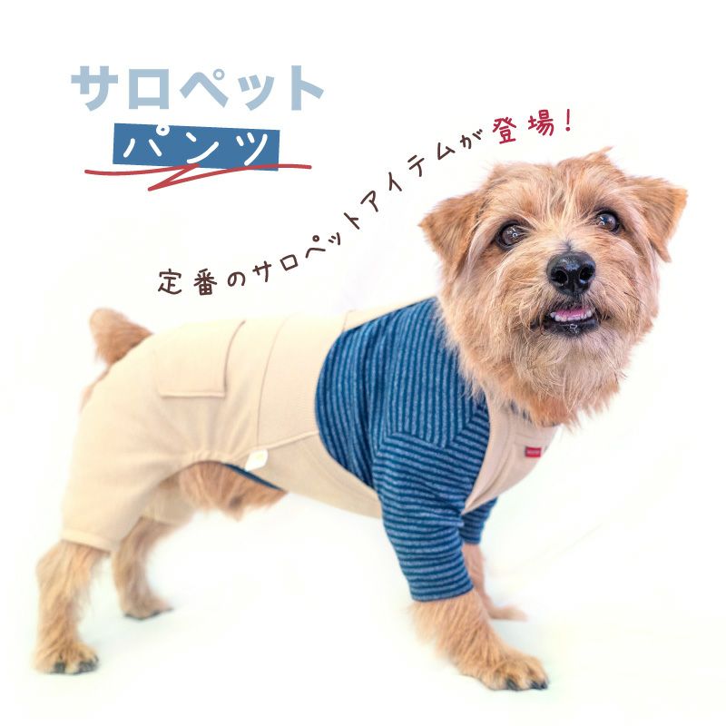 楽天市場】犬 服 冬 秋 デニム ニット サロペット パンツ おそろコーデ
