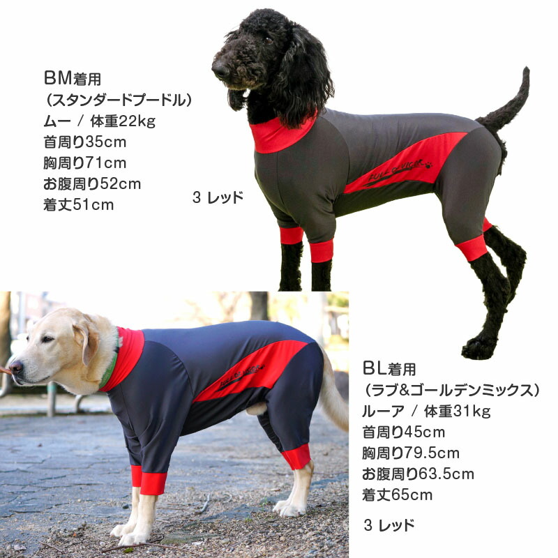 犬服 SS わんこの普段着 ジェシカ 犬服 S わんこの普段着ジェシカ 犬服