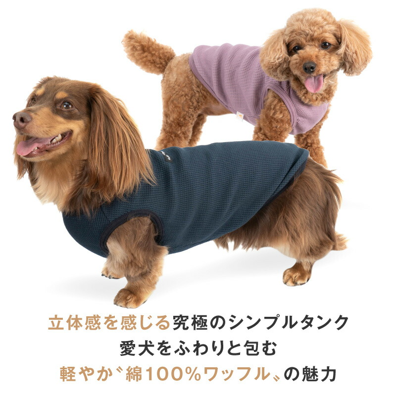 サラダ様ページ②です ダックスフンド 犬服 わんこ服 サラダ様ページ