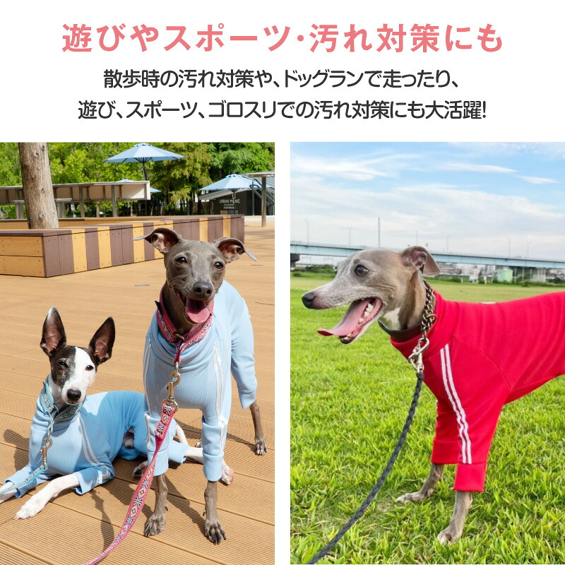 楽天市場】イタグレ 服 冬 秋 イタグレ用 ドッグプレイ(R) 体操服