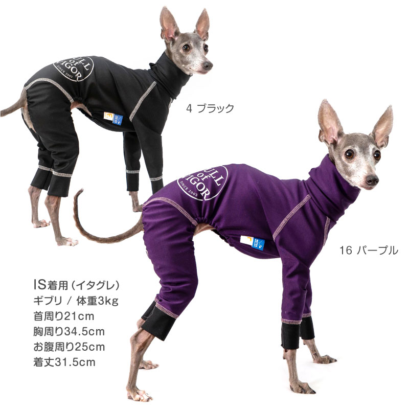 楽天市場】シャカシャカ 音がしない イタグレ 服 冬 秋 イタグレ用