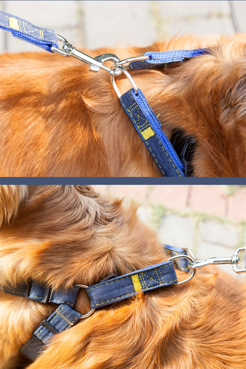 楽天市場】犬 ハーネス リード 首輪 3点セット 犬用 リード 犬用