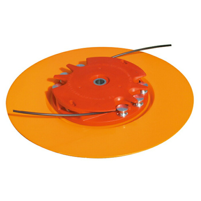 楽天市場】【全品50％OFFのチャンス☆8〜10日迄】 【 正規代理店