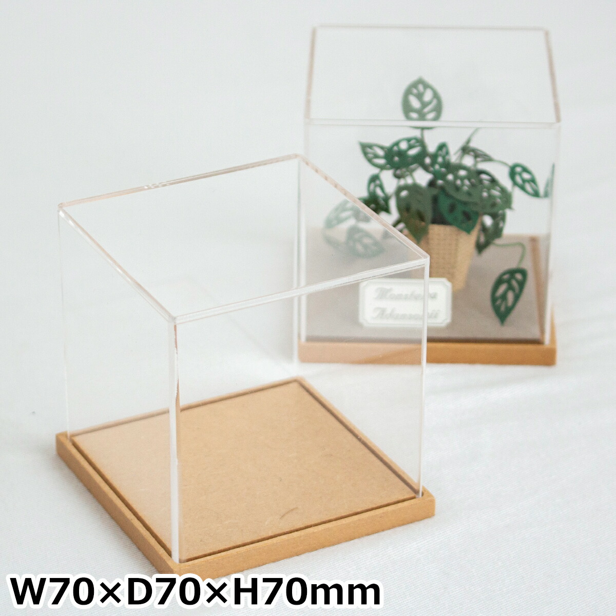 楽天市場】アクリルケース W70×D70×H70mm 木製 アクリルディスプレイ
