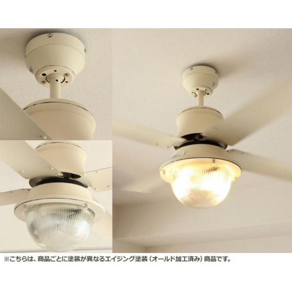 楽天市場】【全品3年保証】 ハモサ ヴェニス シーリングファン