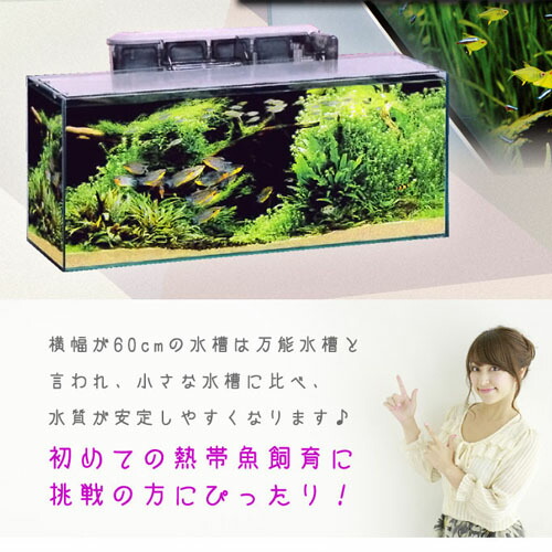楽天市場】【水槽set】スーパーSET 13点 60cm 水槽セット ビギナーから