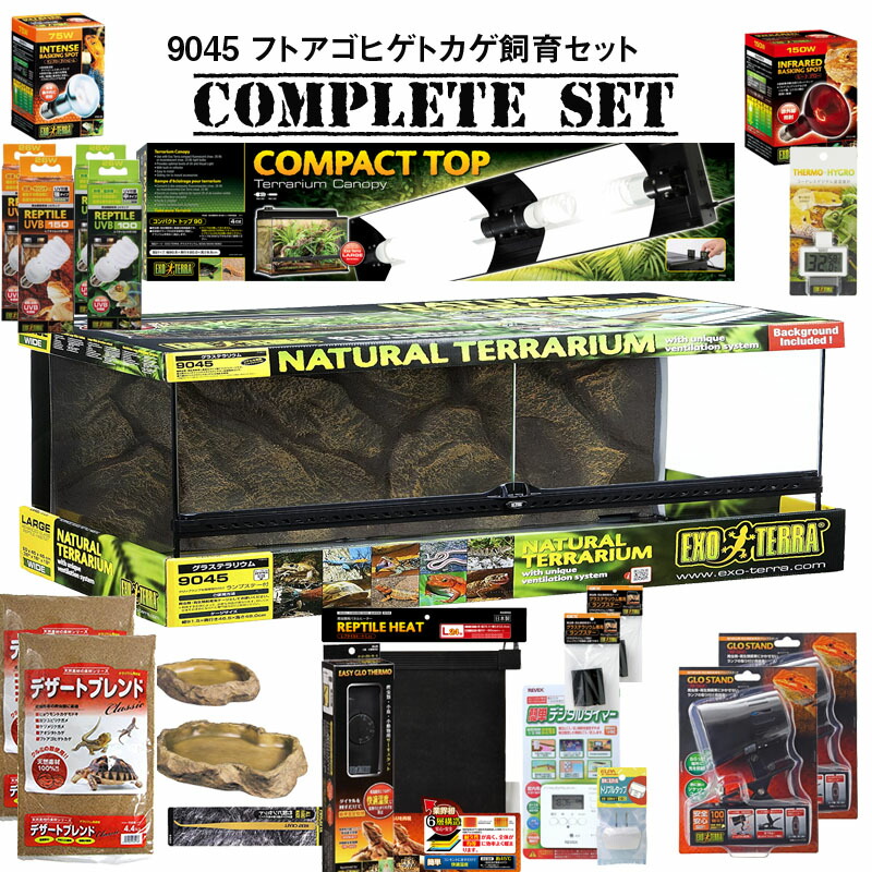 楽天市場】【水槽セット】9045 フトアゴヒゲトカゲ飼育セット