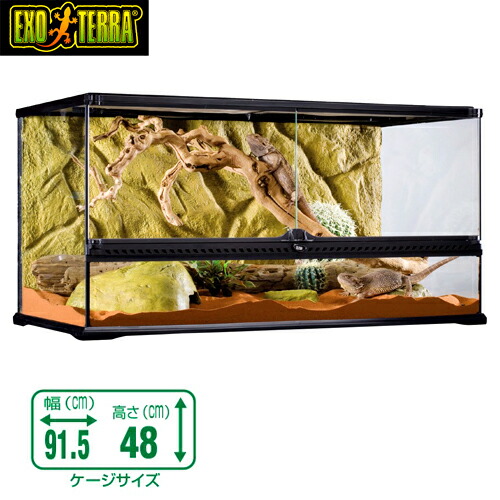 香川引取】GEX エキゾテラ グラステラリウム9045 ハリネズミ飼育 香川