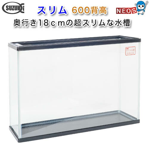 楽天市場】鈴木製作所 ガラス水槽 スリム600背高 600×180