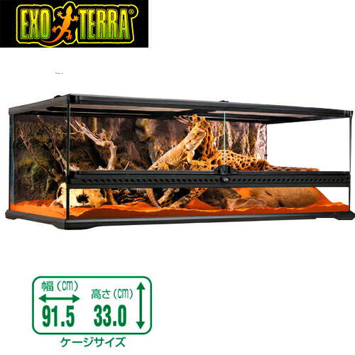 楽天市場】GEX グラステラリウム 9030 爬虫類 飼育 ケージ ガラス