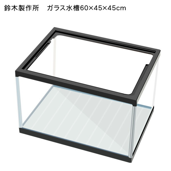 9/13ロボコン様購入予定 60cmオールガラス水槽600×450×600 9/13