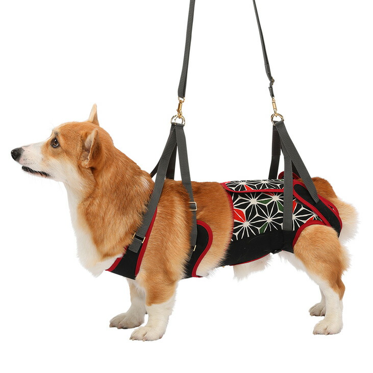 楽天市場】【送料無料 同梱不可】歩行補助ハーネス LaLaWalk 中型犬