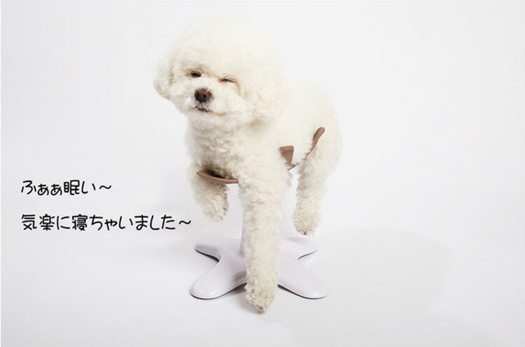 楽天市場】新 Samson salon サムソン・サロン ペット専用チェア