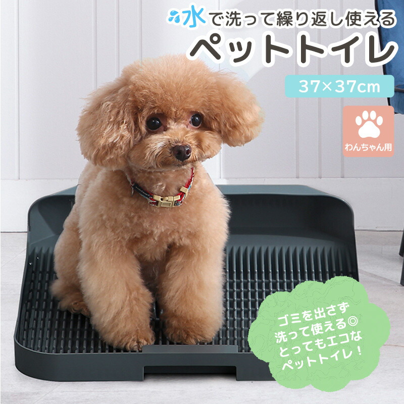 ペット用トイレ（小型犬用）実用新案登録第3243494号