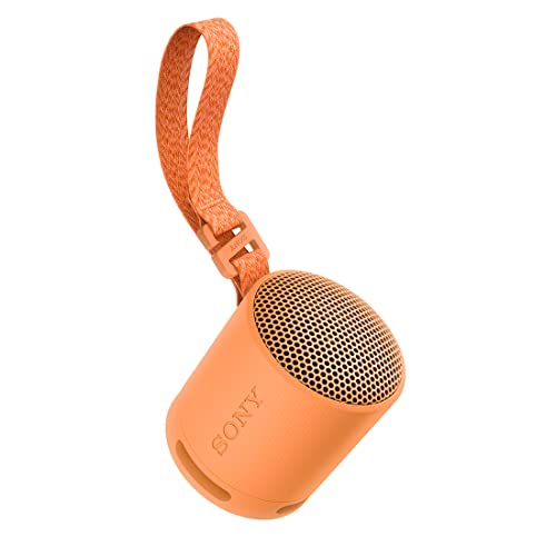 楽天市場】ソニー(SONY) ワイヤレススピーカー SRS-XB100:クリアな と